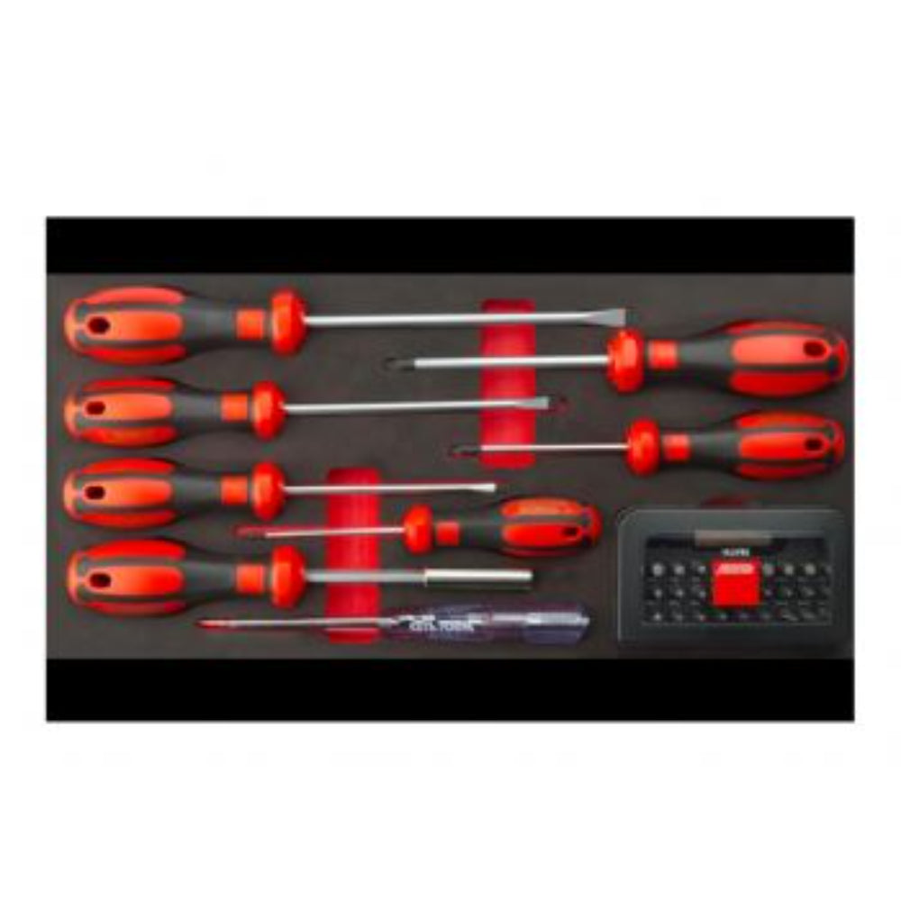F99-E3901  39 Piece C-PLUS Slotted/PH Screwdriver and Bit Set ( in EVA)