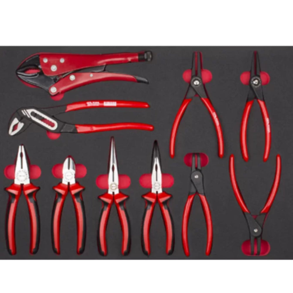 E99-E10 10 Piece Pliers Set ( in EVA)