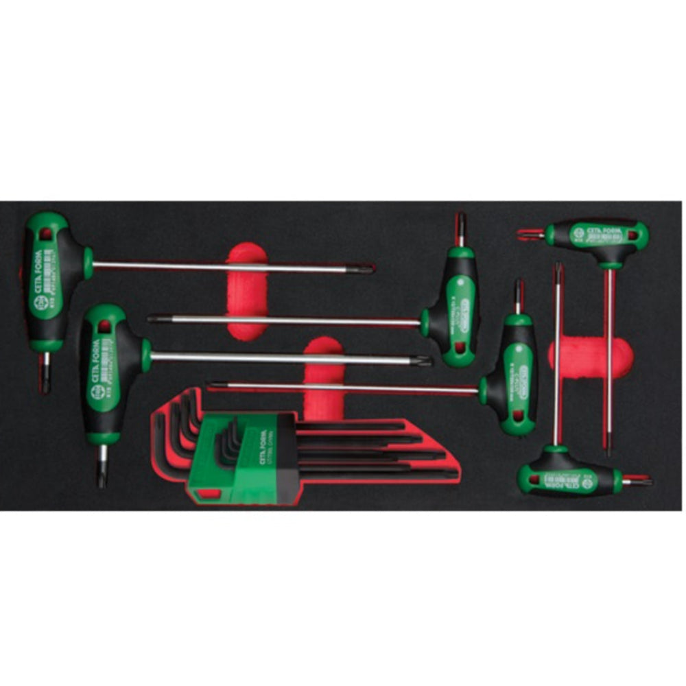 K99-12-E14 14 Piece T-Handle and L TORX Key Set ( in EVA)