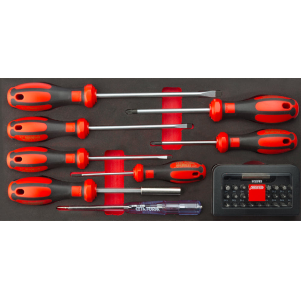 F99-E3902  39 Piece C-PLUS Slotted/PZ Screwdriver and Bit Set ( in EVA)