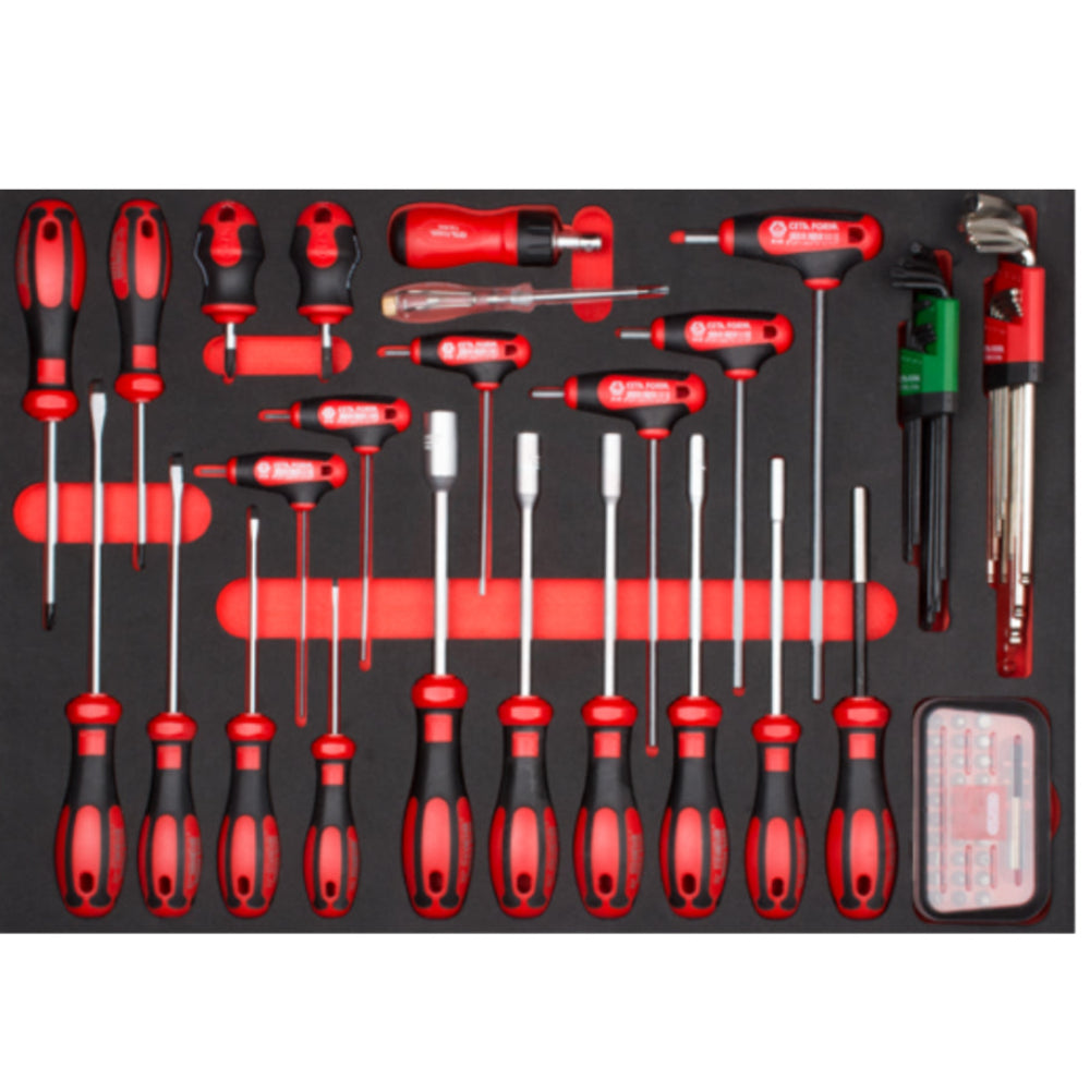 F99-E81  81 Piece Screwdriver and T-Handle Key Set ( in EVA )