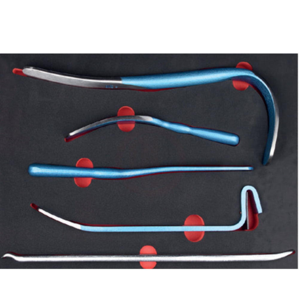 N30-E05  5 Piece Bodywork Tool Set ( in EVA)